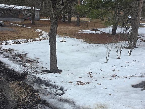 3rd image of 295 Clydes Run