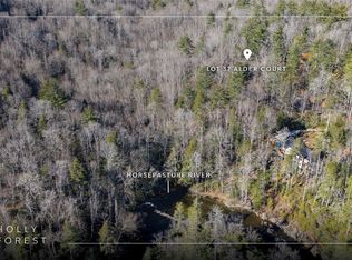Lot 37 Alder Court, Sapphire, NC 28774