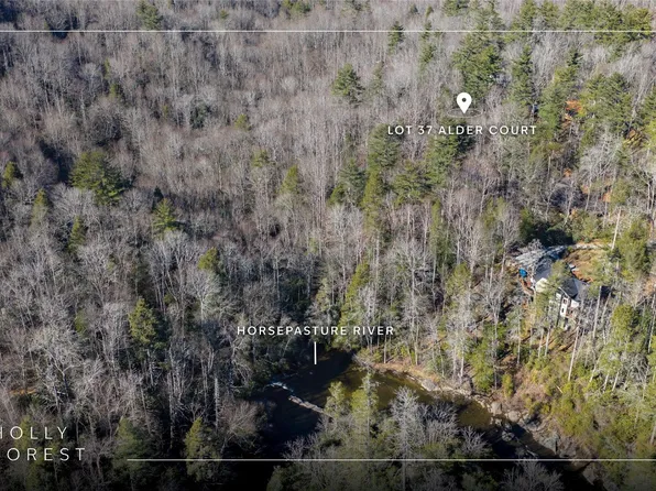 Lot 37 Alder Court, Sapphire, NC 28774