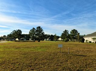 284 Needlegrass Ln, Hardeeville, SC 29927