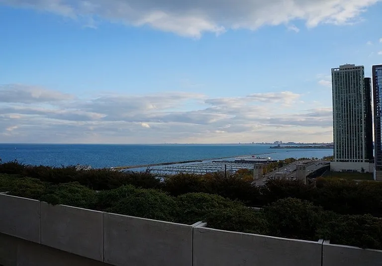 474 N Lake Shore Dr #4203 — Photo 3