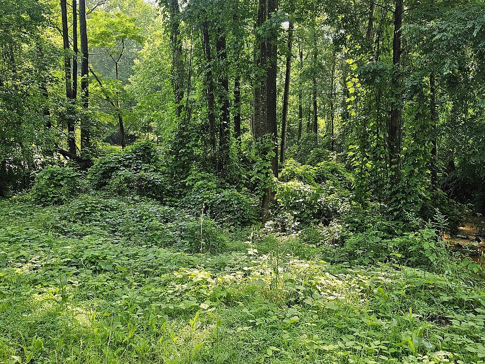 2nd image of 12109 Brown Bridge Rd