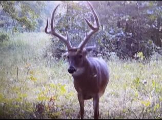 137/ACRE S Highway K, Chamois, MO 65024