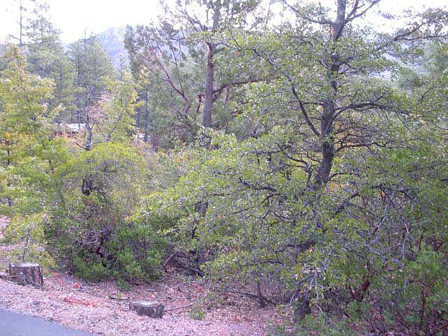 1st image of 195 Willow Dr