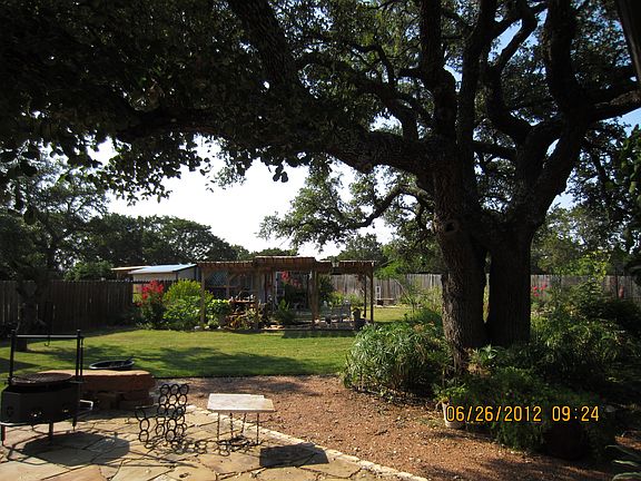 back yard