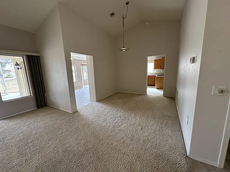 3032 Hidden Treasure Dr — Photo 84