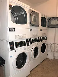 Rented by Bold New York