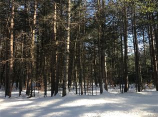 LOT 6 Partridgeville Rd LOT 6, Brantingham, NY 13312