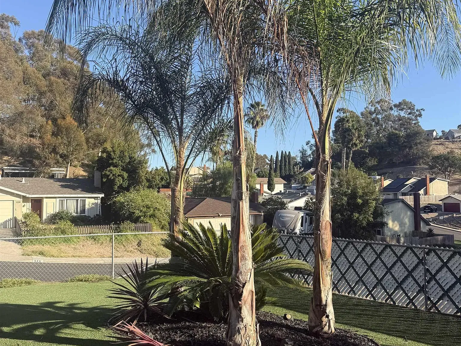 3 bed, 2.0 bath, 1107 sqft, $4,950 — Photo 3