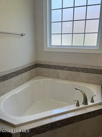 3702 Cinnamon Fern Dr — Photo 12