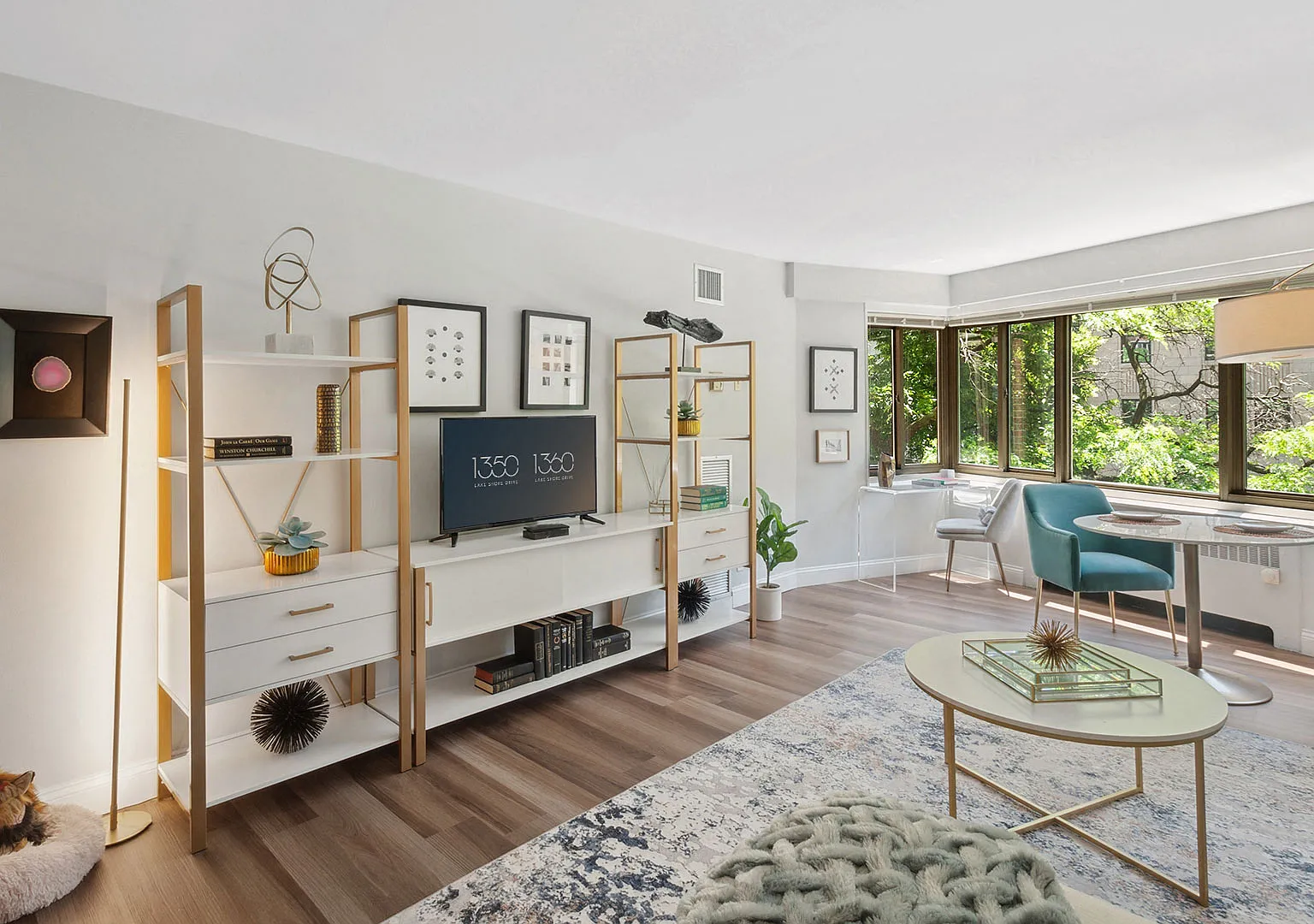 1350 North Lake Shore Drive — Photo 3
