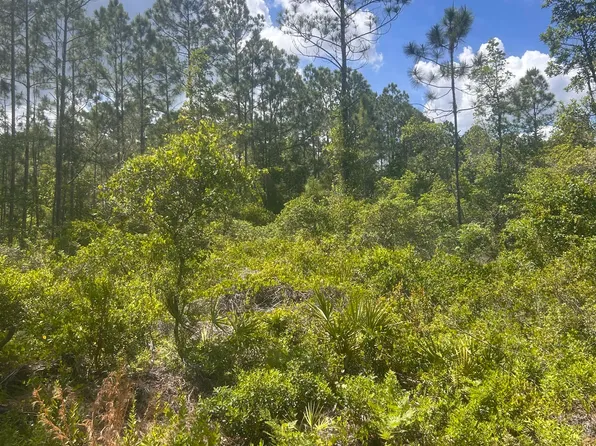 242 LAKEWAY Drive, Georgetown, FL 32139
