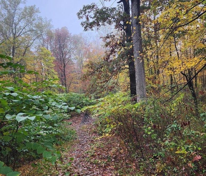2nd image of 54 Ridge Road