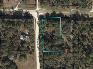 30 NE 835th St, Old Town, FL 32680