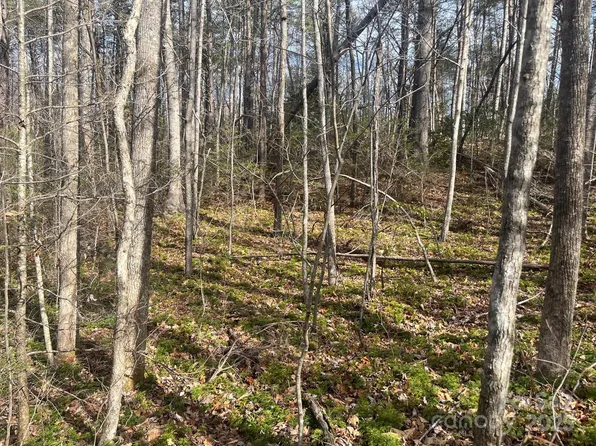 0 Western Red Bird Dr, Hendersonville, NC 28792