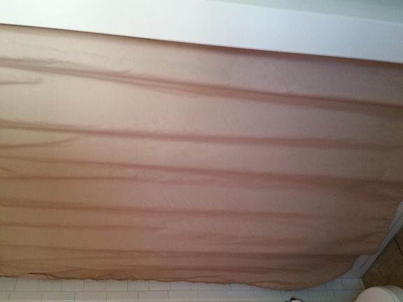 3rd image of 417 S Murat St #A