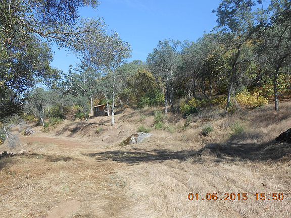 3rd image of Pintail Lot 339