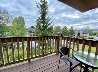 1413 Morgan Ct, Steamboat Springs, CO 80487
