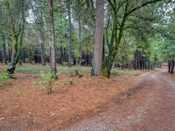 18642 Gold Creek Trl, Volcano, CA 95689