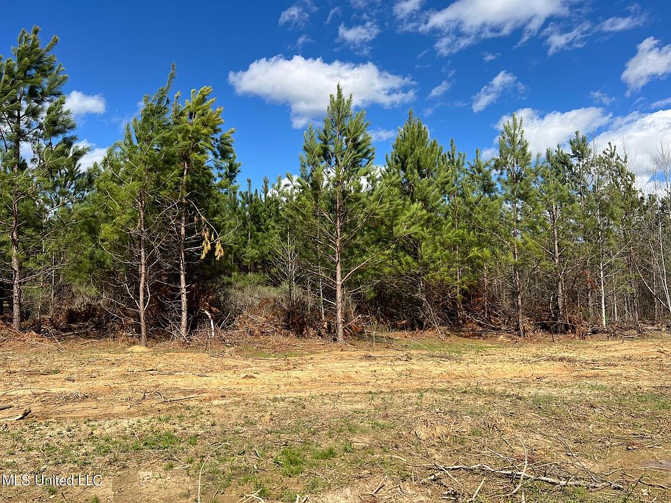 2nd image of Stout Rd Lot 51
