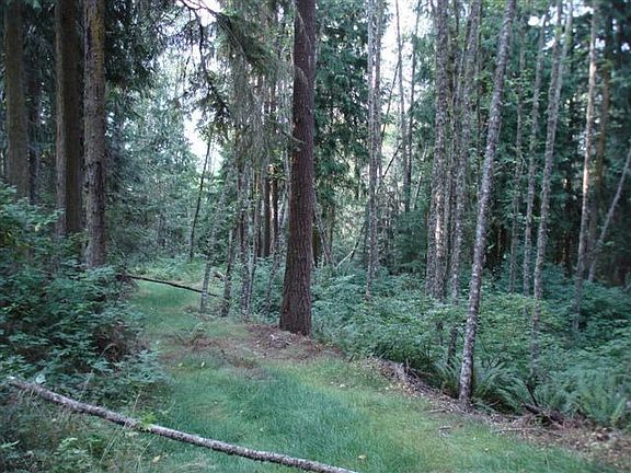 5th image of 9999 Lost Mountain Ln