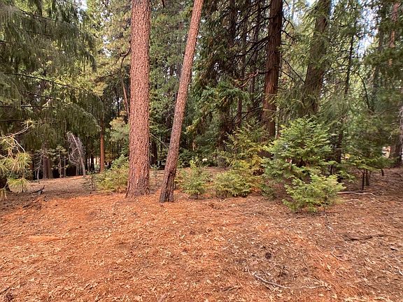 5477 Pine Ridge Dr, Grizzly Flats, CA 95636 | MLS #222142024 | Zillow