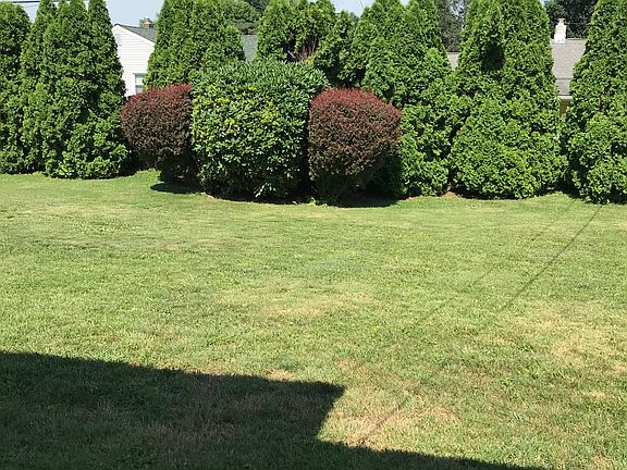 View of back yard
