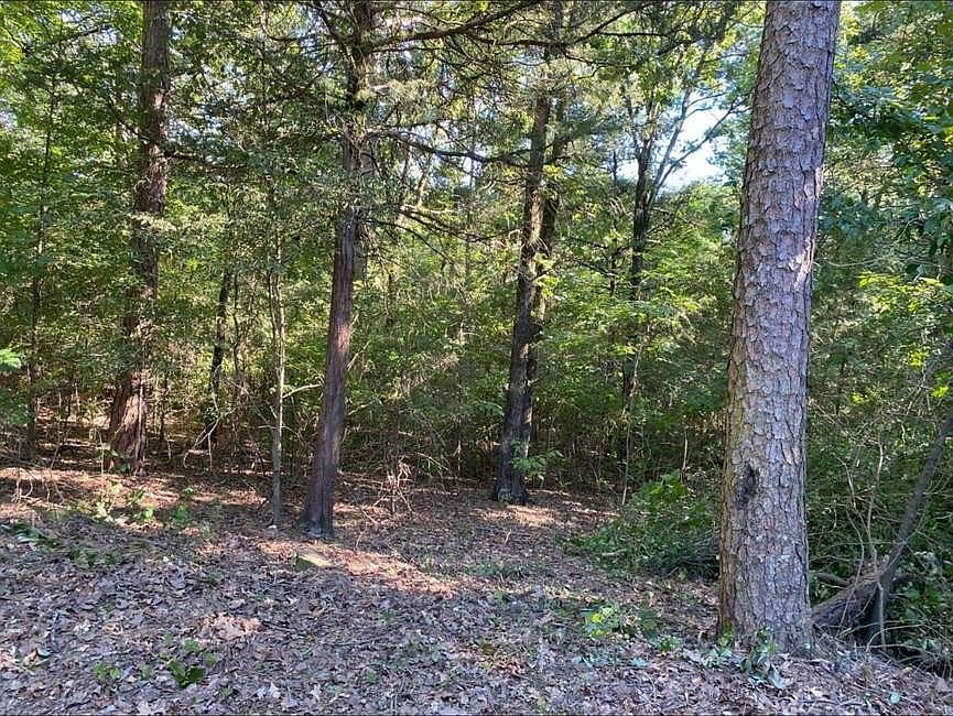2nd image of 9 Dawn Cir