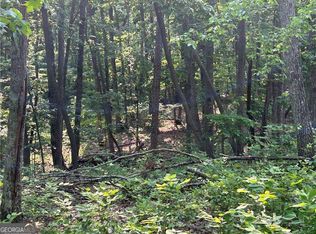 873 Pleasant Union Rd, Canton, GA 30114