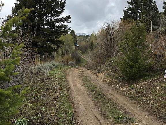 4th image of 5166 Mountain Dr