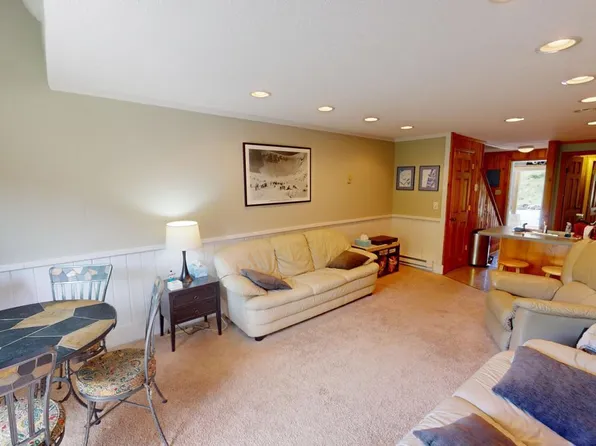 27 Shamrock, Snowshoe, WV 26209