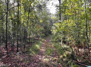 880 Bill Price Rd, Daviston, AL 36256