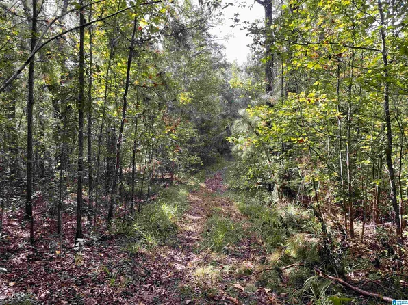 880 Bill Price Rd, Daviston, AL 36256