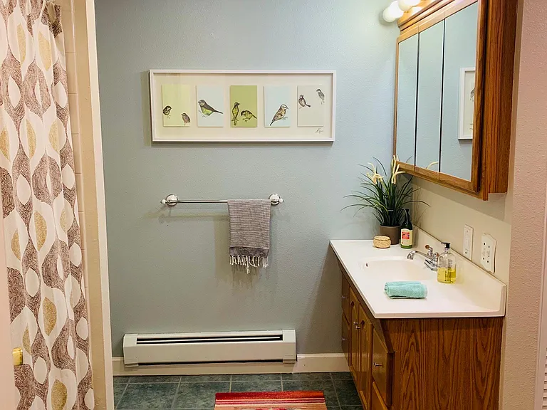 Downstairs bathroom with closet and storage room.