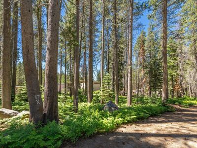 21898 Yuba Trl, Soda Springs, CA, 95728