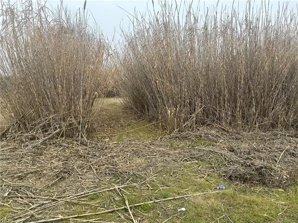 Dewberry Way, Elm Mott, TX 76640