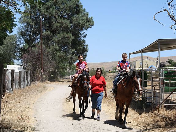 3rd acre and the horses