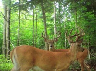 0992 Nolan Rd, Aniwa, WI 54408