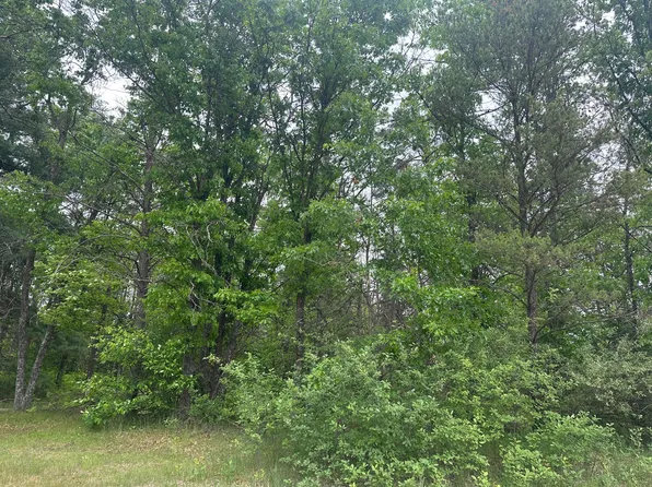 LOT 80 W Jackpine Loop, Mio, MI 48647