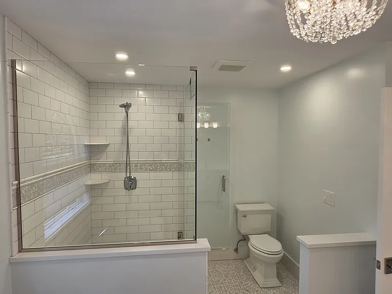 Primary bathroom walk-in shower and toilet.