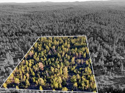 Rim Spur, Lakeside, AZ, 85929