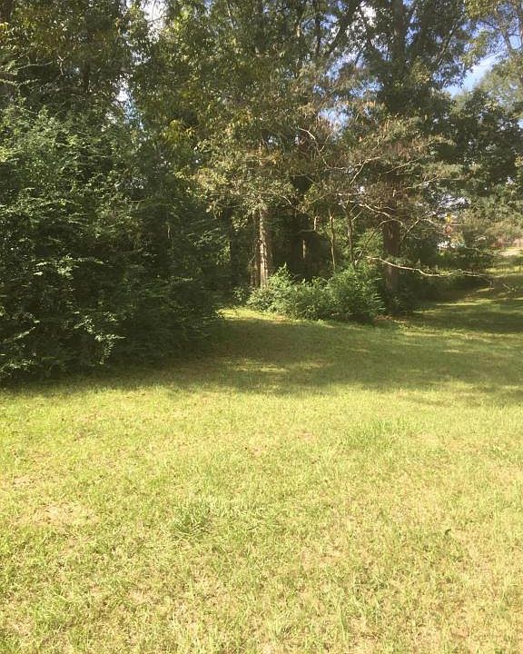 2nd image of 196 Shelby Speights Dr