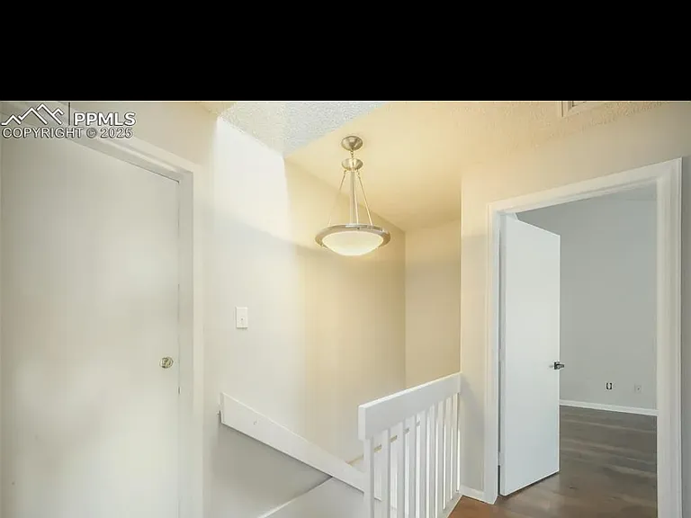 3656 Iguana Dr — Photo 4