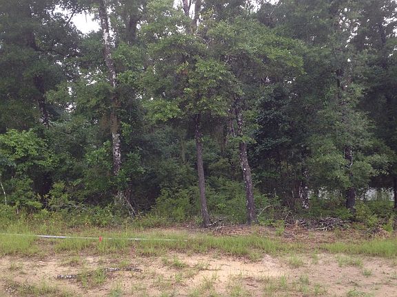 4th image of 3517 Bobwood Dr