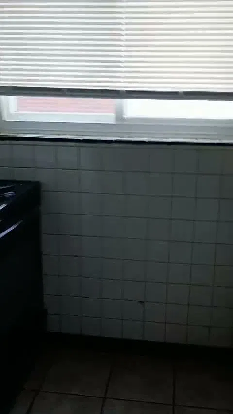 1 bed, $950 — Photo 1