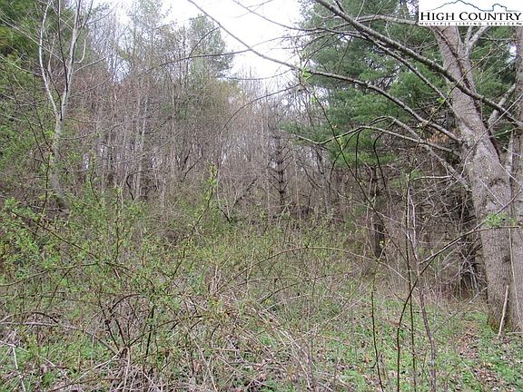 3rd image of TBD NC Hwy 88 W