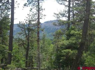 145 Columbine Way, Durango, CO 81301