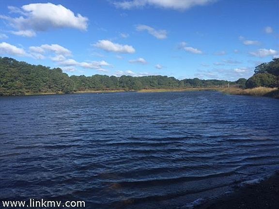 Beautiful Oyster Pond