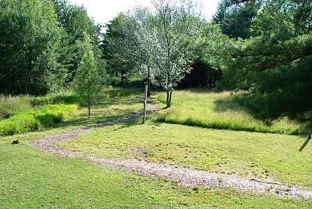 Walking Path on Property to Campsite and Tree Stand
