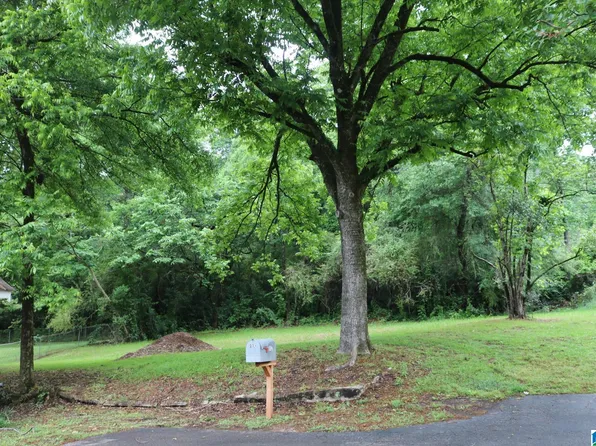 1325 Avenue V, Birmingham, AL 35218